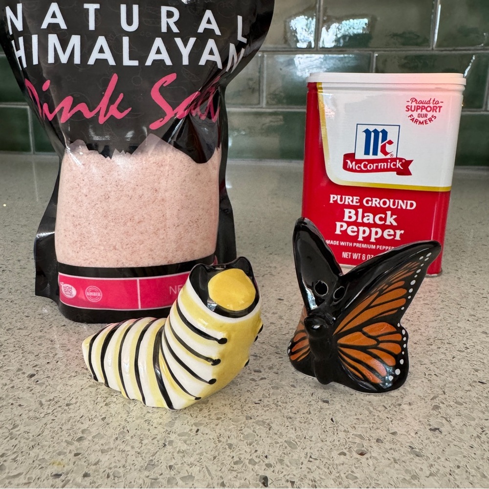 Salt & Pepper Shaker Set | Caterpillar & Butterfly 🐛
